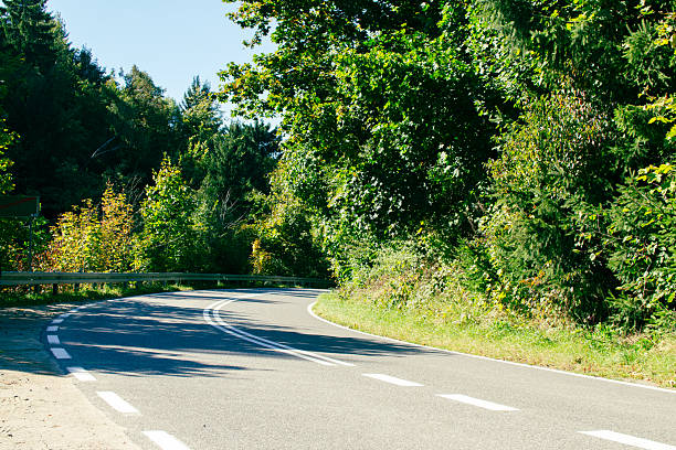 A beautiful winding road curves through a vibrant green forest under a clear blue sky. Tall trees and colorful foliage line the roadside, creating a serene atmosphere.