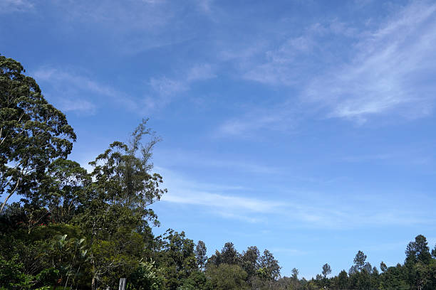 Beautiful scenic view in Yercaud.