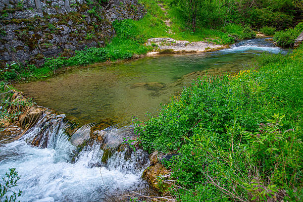 A small picturesque pond in a wild forest in a mountains above Budva, Krapina village, Montenegro