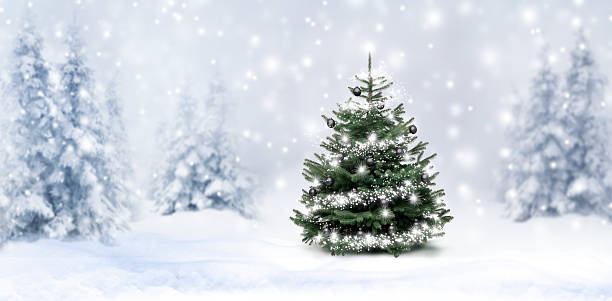 istock Winter Christmas atmosphere with snow and Christmas tree 2238751483