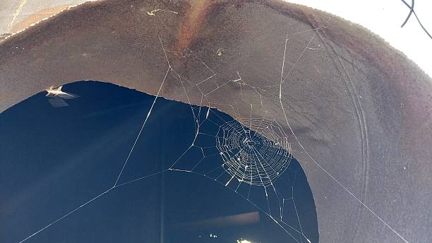 istock Intricate spiderweb spun across a curved, weathered surface, catching light against a dark background 2238752383