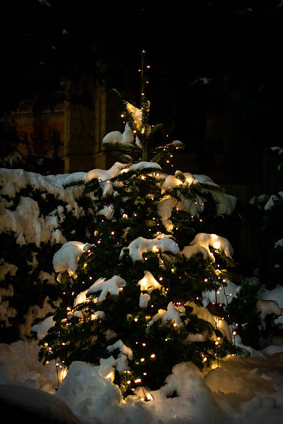 istock Christmas tree decorated with a shimmering garland with branches covered with white snow in a city park late in the evening 2238757297