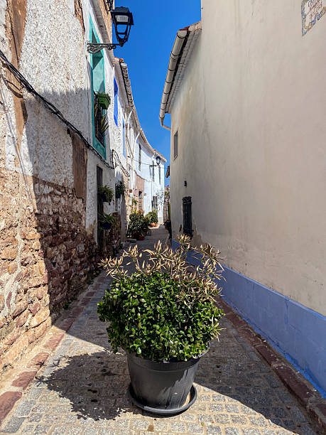 High angle close-up view of a potted plant on paving stone blocking access to narrow alley for motorized vehicles in the old town of Sagunto, Spain