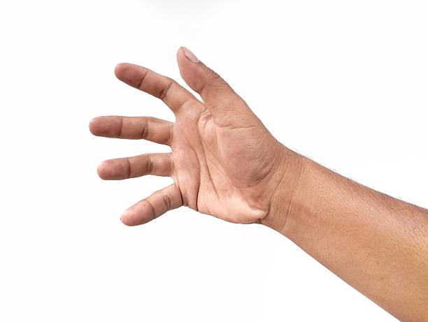 istock Man Hand gesture holding something isolated on white background 2238763553