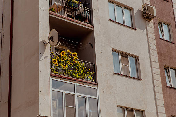 Residential building with a balcony adorned with vibrant sunflowers. The structure features multiple windows and an air conditioning unit.