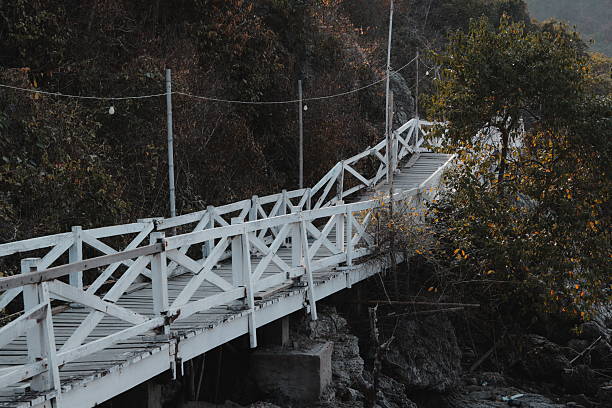 Elevated pedestrian bridge and heart shaped stepping stones