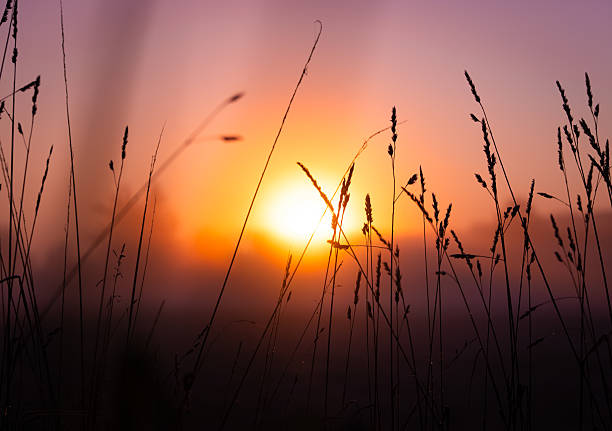 istock Sunrise on a foggy morning 2238778751
