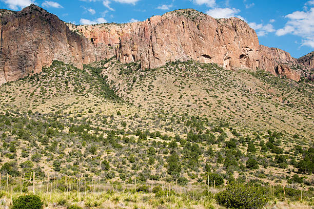 istock Big Bend National Park in Texas 2238779052