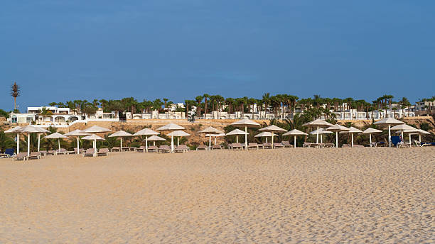 istock Beach scene with several umbrellas and beach chairs at sunny day 2238779311