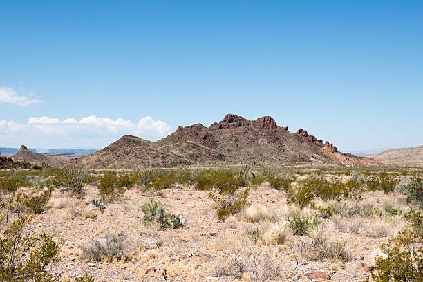 istock Big Bend National Park in Texas 2238779963