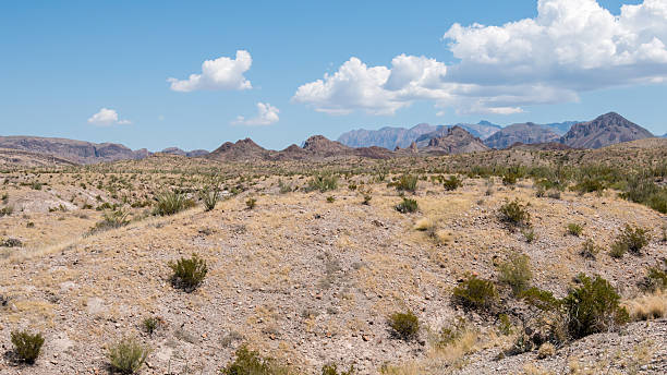 istock Big Bend National Park in Texas 2238780100