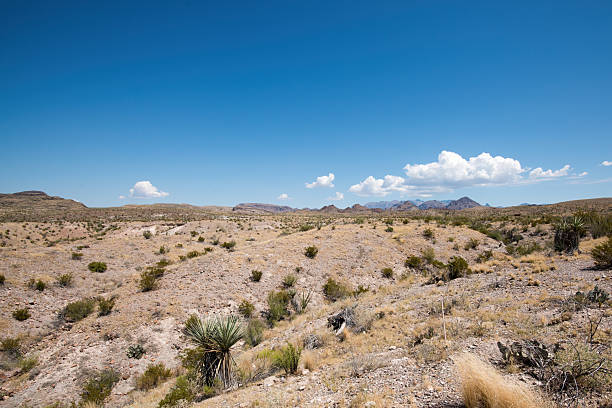 View of Big Bend National Park in Texas
