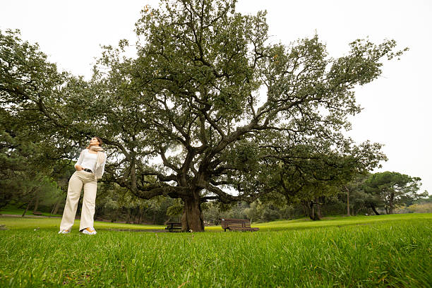 istock Young woman enjoying nature under ancient oak tree 2238788767