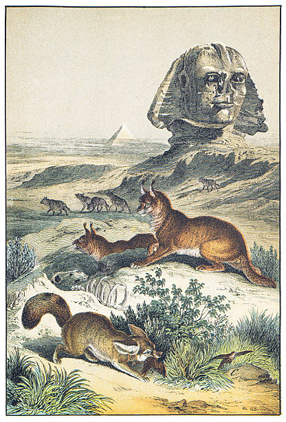 Hand colored engraving - Instructive Recreations for Youth. III. Series. Third Edition. Esslingen. J. F. Schreiber. 1876.