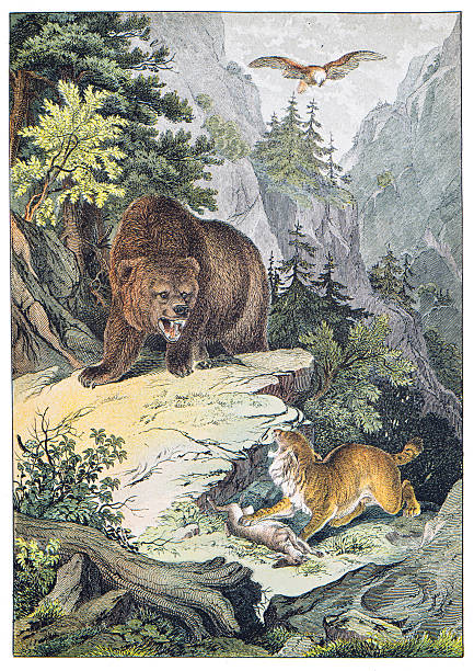 Hand colored engraving - Instructive Recreations for Youth. III. Series. Third Edition. Esslingen. J. F. Schreiber. 1876.