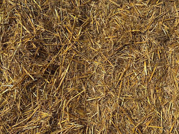 istock Hay straw natural rural background. 2238795118