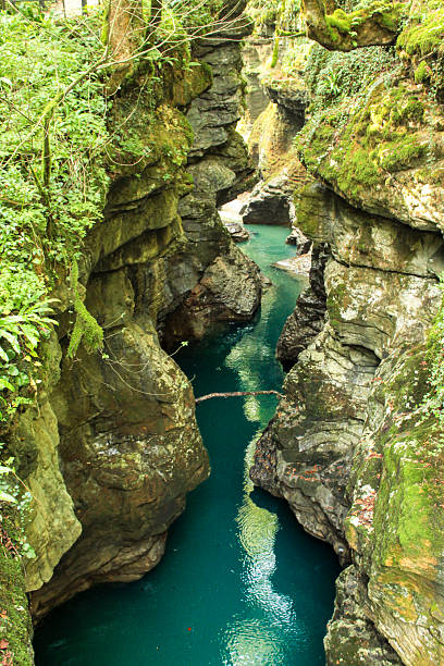 istock Beautiful canyon with turquoise-blue water surrounded by lush greenery and sandy cliffs. Bright daylight and clear sky create a peaceful and scenic natural landscape. 2238797470