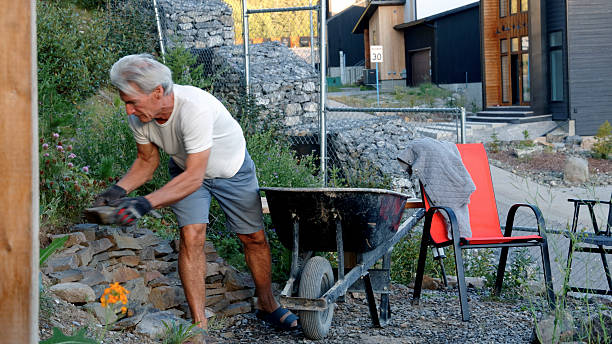Mature man landscapes yard, uses wheelbarrow with heavy stones to build rock wall in patio area