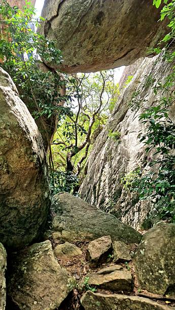 Tropische Landschaft im Regenwald - Asien