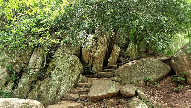 istock tropical landscape in rainforest - Asia 2238801859