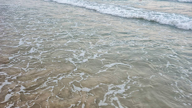 Gentle waves rolling onto a sandy beach during the day. The clear water reflects the sky, creating a serene atmosphere ideal for relaxation and vacation-themed projects.
