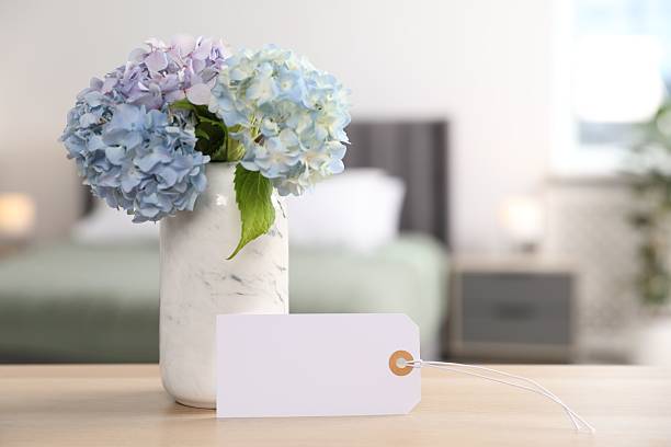istock Empty card and hydrangea flowers on wooden table in hotel room. Space for text 2238825215