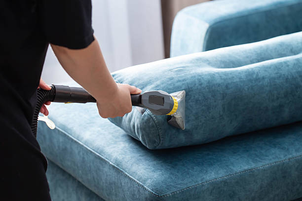 istock Cleaning blue couch using a vacuum attachment during a home maintenance session in bright indoor light 2238825311