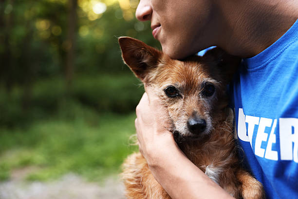 istock Volunteer with cute stray dog outdoors, closeup. Space for text 2238825821