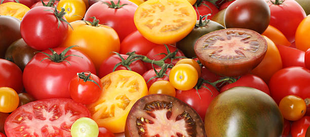 istock Different ripe juicy tomatoes as background, closeup 2238827982