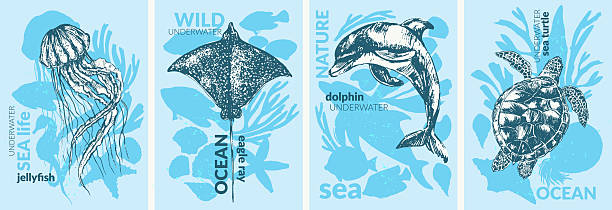 Vector sea animals illustration set. Ink sketch of jellyfish, eagle ray, dolphin, sea turtle. Silhouettes of seahorse, starfish, nautilus, coral fish, shell, seaweed. Ocean wild life.