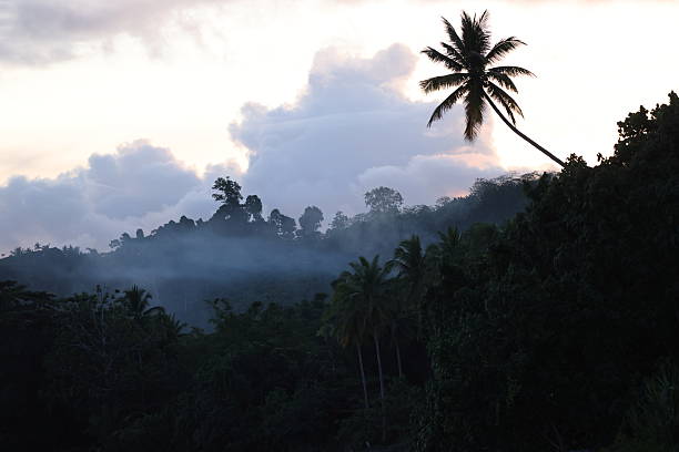 istock sunset in the tropics 2238829432