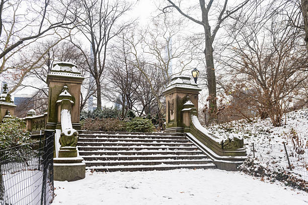 istock Bethesda Terrace Steps with Snow in Central Park 2238829640
