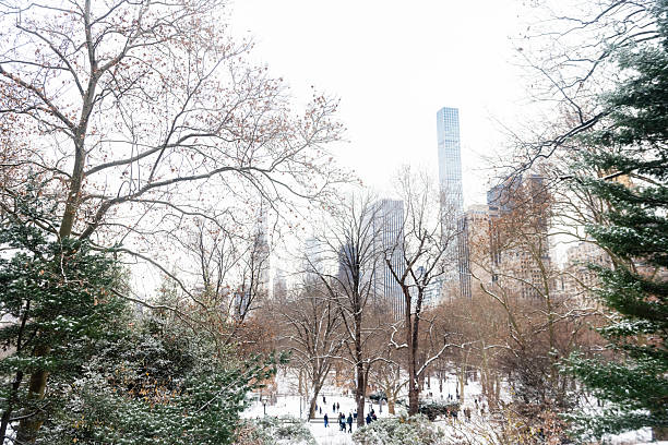 This is a winter landscape photograph shot in Central Park on a cold day with snow. Midtown skyscrapers are visible in the background.
