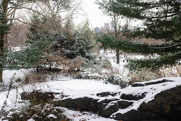 This is a landscape photograph of Central Park on a cold winter day with snow in New York City.