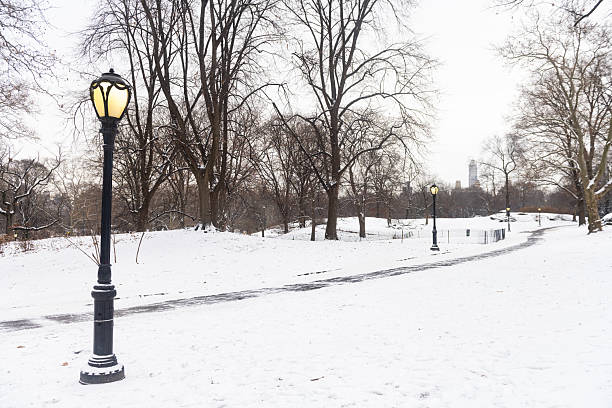 This is a landscape photograph of Central Park on a cold winter day with snow in New York City.