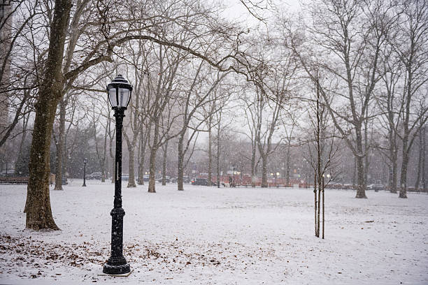 This is a photograph of it snowing in Central Park on a winter day in New York City.