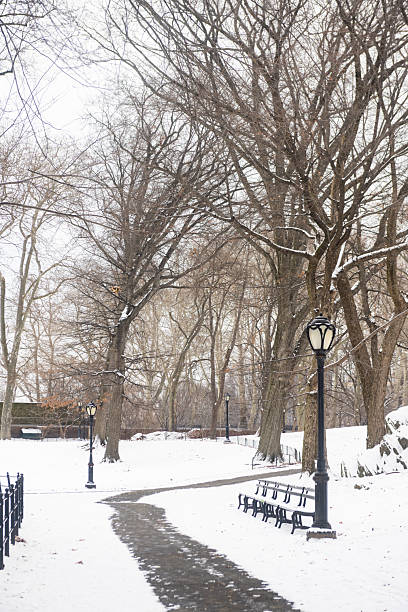 istock Central Park Benches with Snow on a Winter Day in NYC 2238831037
