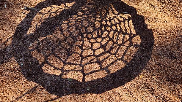 A netted circular swing casts a distinct shadow on a ground covered in brown wood chips.