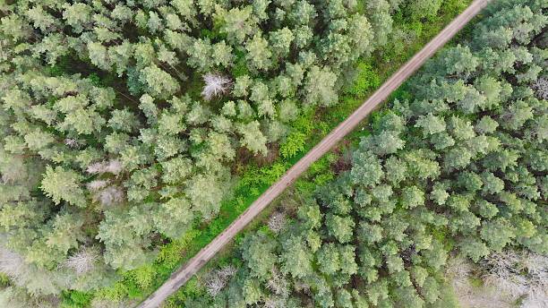istock A straight forest road. View from a drone. 2238836591