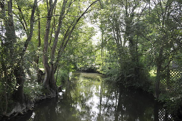 istock the Seugne in Jonzac 2238839314