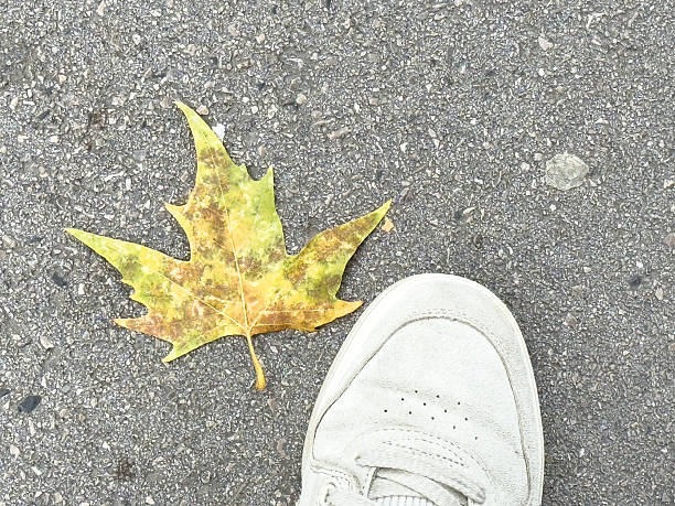istock Autumn maple leaf on urban pavement with casual shoe 2238841175