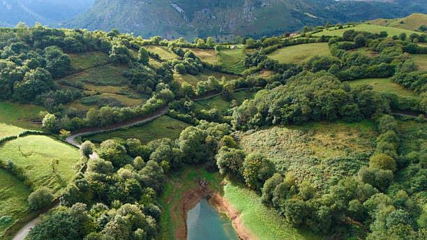 Aerial view of sustainable rural nature