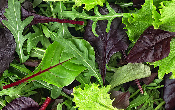 Salad mix leaves as background, top view. Fresh salad with arugula, purple lettuce, spinach, frisee, and Swiss chard leaves.