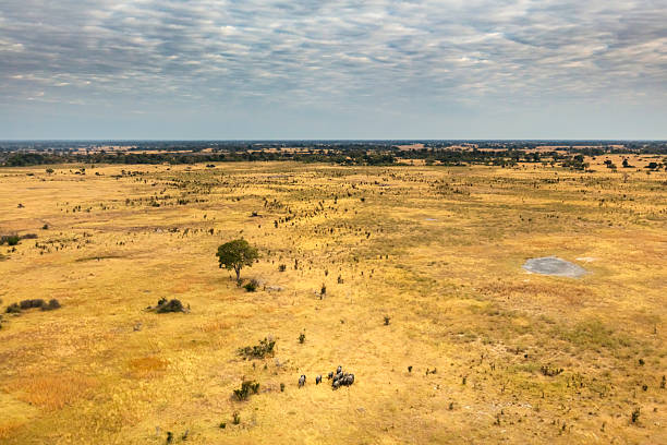 Aerial view out of a helicopter (with removed windows) of meandering Khwai River in Moremi National Park in Okavango Delta, Botswana, Africa.