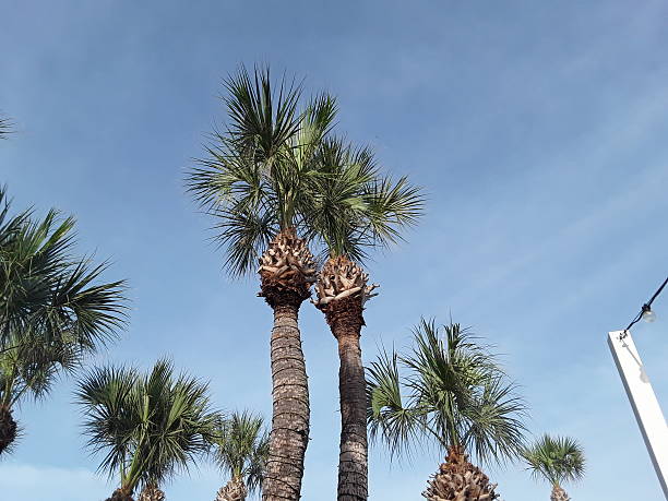 North Redington Beach Florida