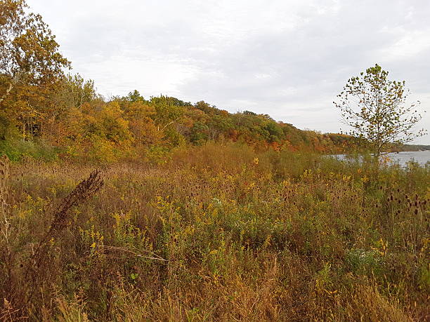 istock Lake Acton in Ohio 2238854558