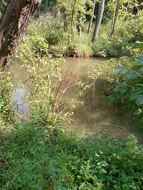 istock Yellow Springs Ohio state park 2238857656