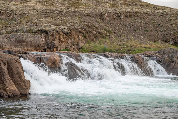Waterfall going in the ocean, falling from a high cliff. Green pastures in combination with rocks, untouched nature.