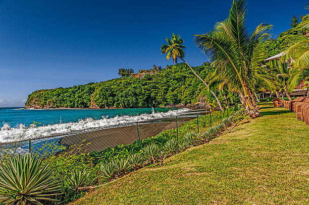 Shoreline in Tahiti showing a black sand beach in front of unknown resort