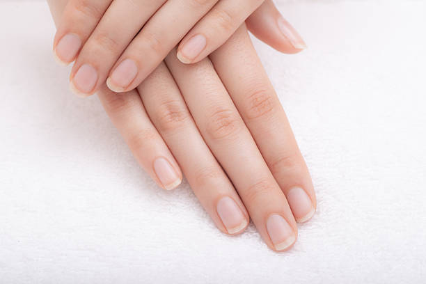 istock Female hands with beautifully manicured fingernails 2238873295